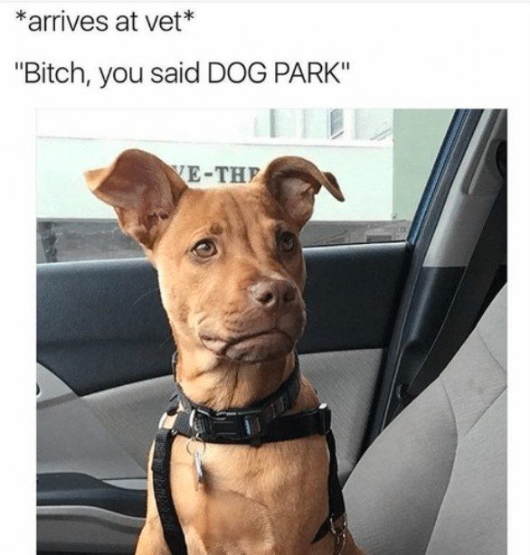 %e7%8b%97%e7%8b%97%e7%88%86%e7%ac%91%e5%9c%96