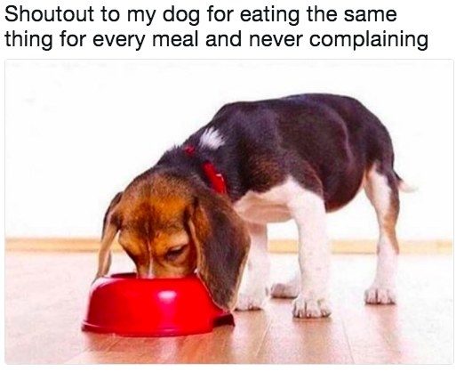 %e7%8b%97%e7%8b%97%e7%88%86%e7%ac%91%e5%9c%96