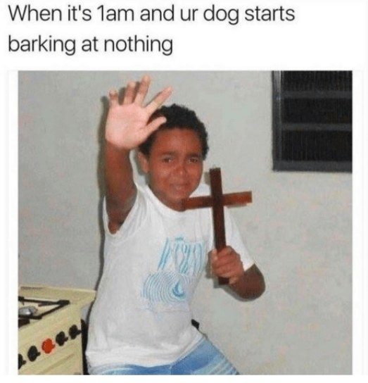 %e7%8b%97%e7%8b%97%e7%88%86%e7%ac%91%e5%9c%96