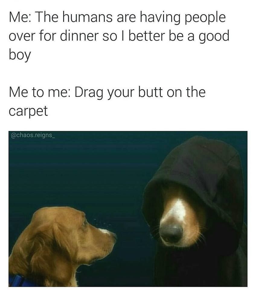 %e7%8b%97%e7%8b%97%e7%88%86%e7%ac%91%e5%9c%96