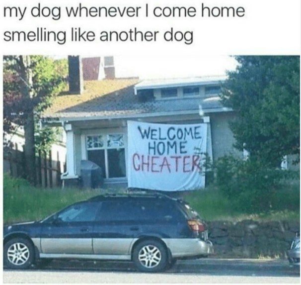 %e7%8b%97%e7%8b%97%e7%88%86%e7%ac%91%e5%9c%96