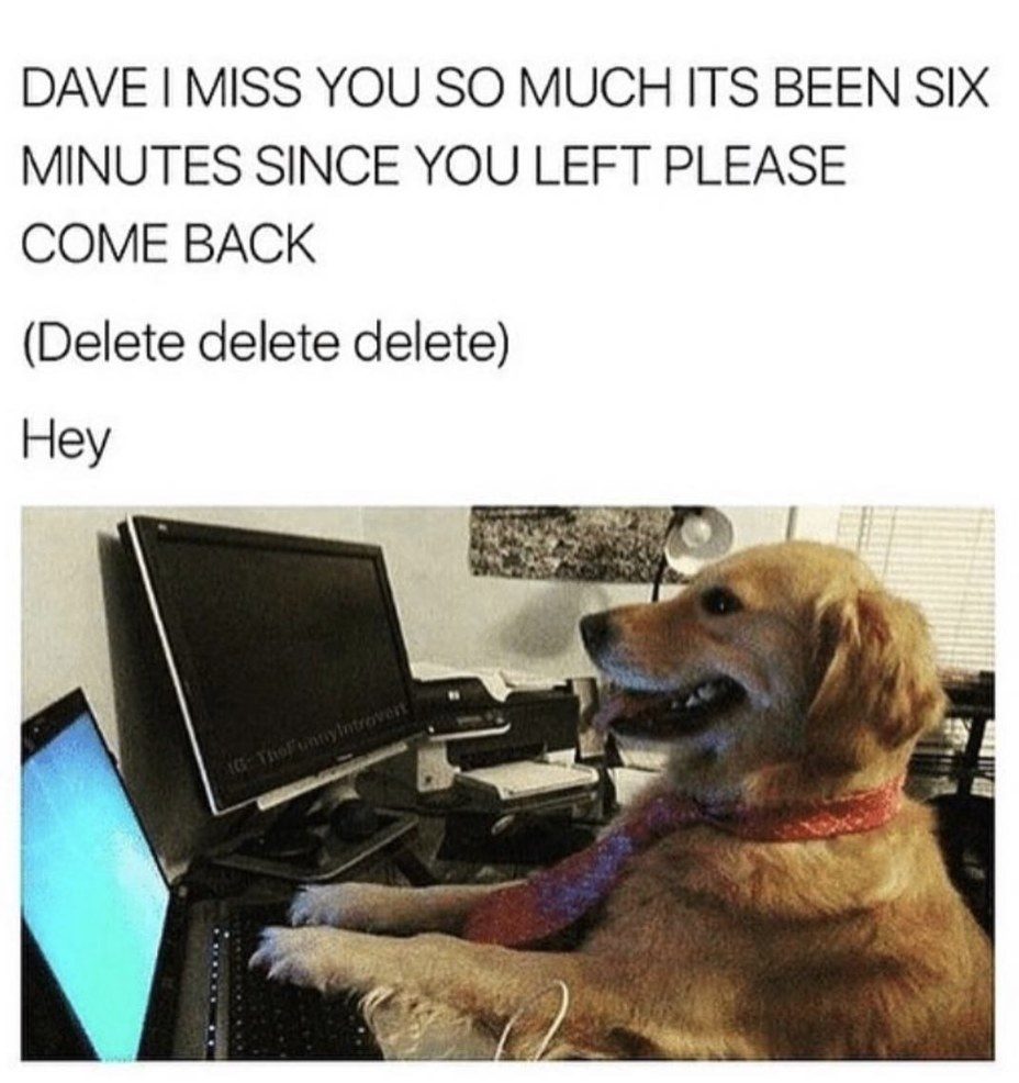 %e7%8b%97%e7%8b%97%e7%88%86%e7%ac%91%e5%9c%96