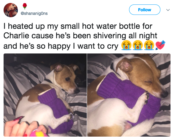 30%e5%80%8b2017%e6%9c%80%e6%9a%96%e5%bf%83%e6%8e%a8%e7%89%b9%e8%b2%bc%e6%96%87