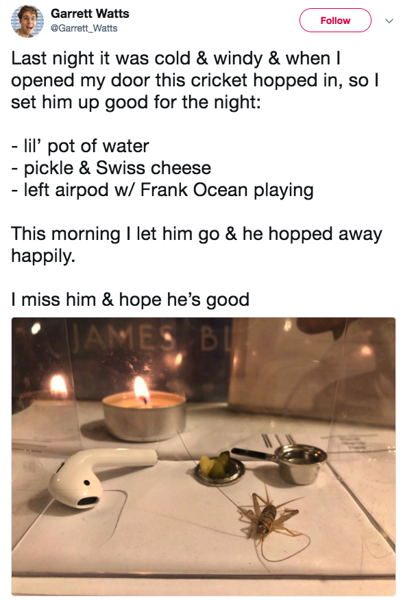 30%e5%80%8b2017%e6%9c%80%e6%9a%96%e5%bf%83%e6%8e%a8%e7%89%b9%e8%b2%bc%e6%96%87