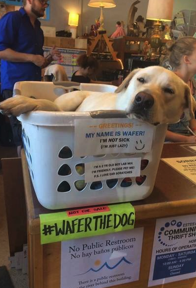 30%e5%80%8b2017%e6%9c%80%e6%9a%96%e5%bf%83%e6%8e%a8%e7%89%b9%e8%b2%bc%e6%96%87