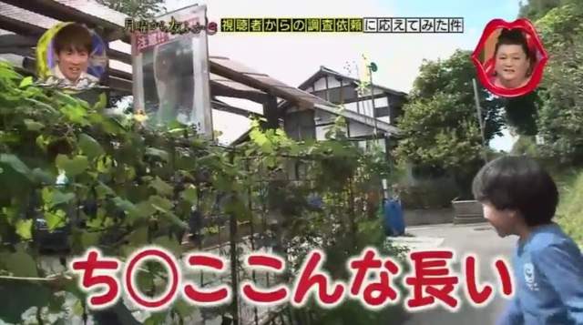 注意行人看板驚現「男童遺照」？一看到「裸體GG照」死亡傳說讓全網崩潰笑歪！(影片)