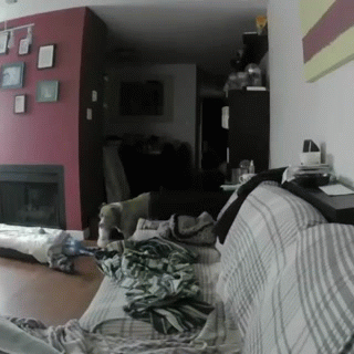 %e7%8b%97%e7%8b%97%e7%9a%84%e6%83%85%e7%b7%92