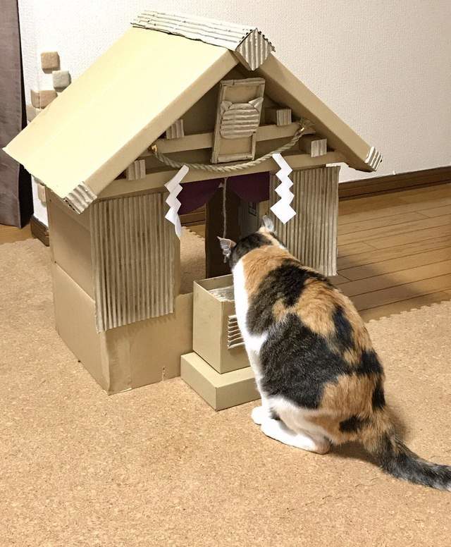 紙箱貓咪神社