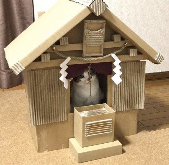 纸箱猫咪神社