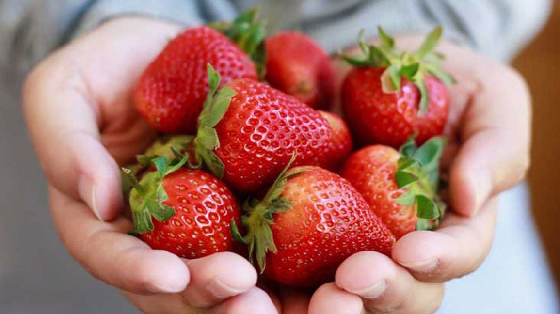 草莓籽在嘴巴发芽