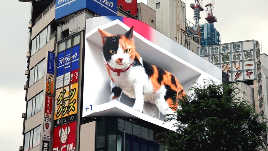 东京3D巨猫