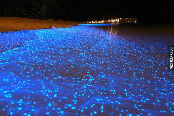 浮游植物在馬爾地夫的海浪上產生出夢幻般的藍光。