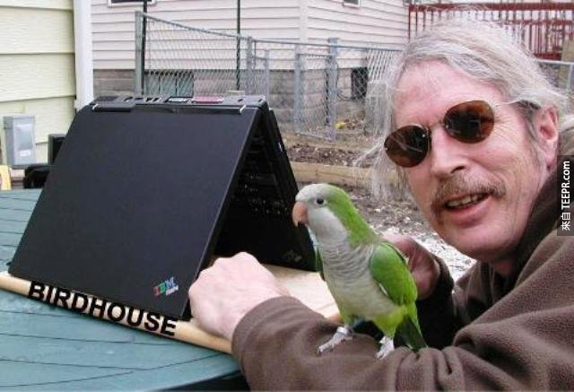 听说鹦鹉最近也非常高科技了，特别喜欢用笔电当鸟窝。