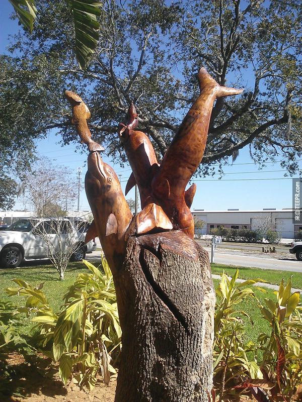 Gil 真的是鬼斧神雕，可以把孤死的木頭變成栩栩如生的海豚藝術品。說真的，以這棵樹當時的形狀，我還真的不知道可以雕刻什麼呢。