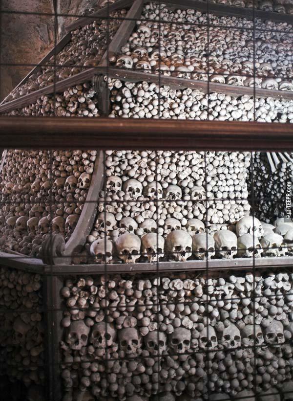 這所有的人骨都是在14世紀死於瘟疫的人的骨頭。