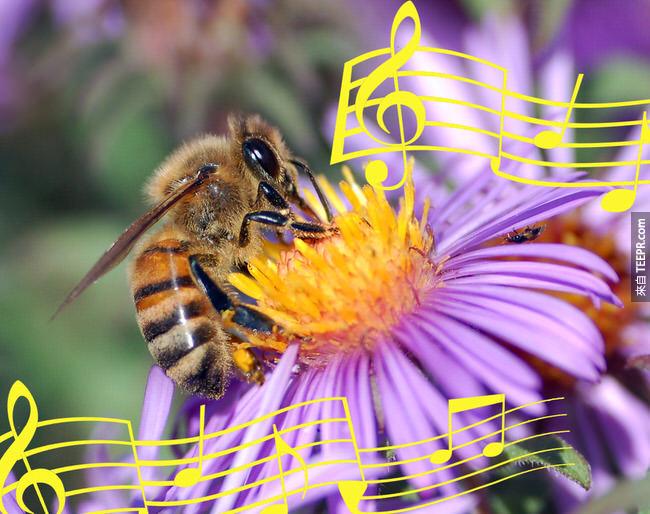10. 蜜蜂用跳舞来沟通。