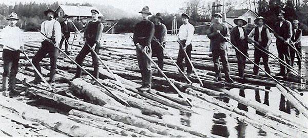 8) 木頭"駕駛"員 - 以前沒辦法用卡車運木頭，所以這些人需要利用用河理的水運木頭。