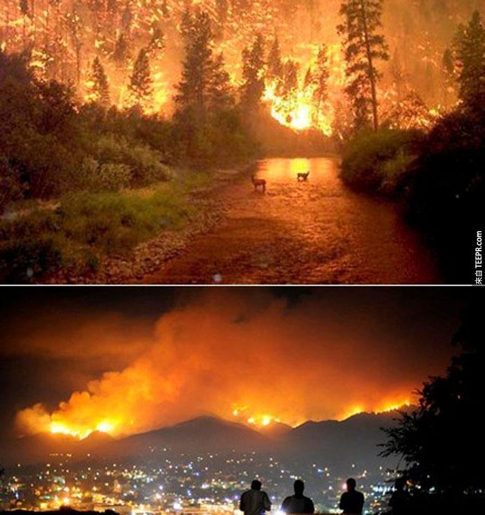 6）在加州的历史上最大和最致命的野火，2009（美国）