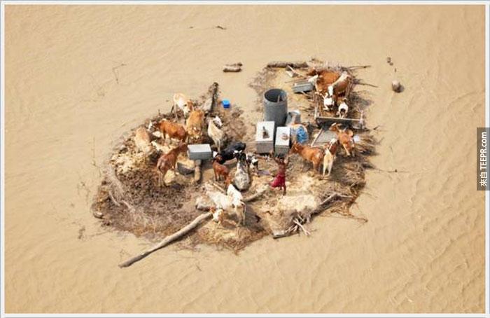 12）年轻男子被被洪水下面的季风，2010（巴基斯坦被困）