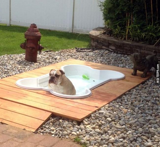 一個骨頭形狀的狗狗澡缸。不知道這樣狗狗會不會比較願意洗澡。