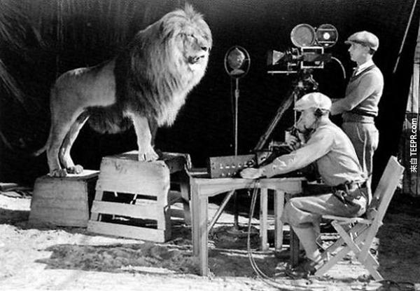 摄影斯拍MGM米高梅电影公司的狮吼。原来真的是这样拍的。够酷吧？