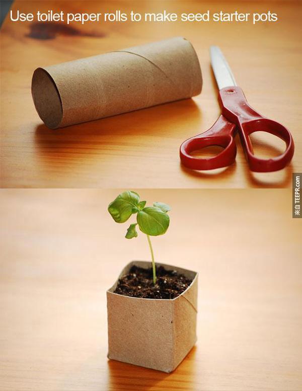 2.) 用廁紙卷做小型植物盆摘。