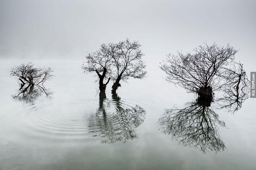 南韓國際獎: "湖裡的漣漪" Dowon Choi, Korea, 1st place, 2014 Sony World Photography Awards