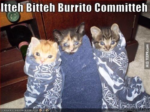 More like Committee-Destined-To-Kill-Me-With-Cuteness.