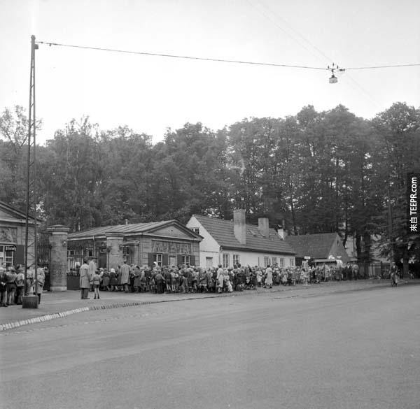 The line for the zoo would go around the block. Today it remains one of the most popular destinations in Denmark.