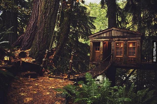 看起來像在樹林中一個簡單的小屋實際上是懸掛在樹上。太神奇了。