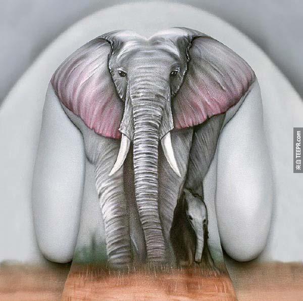 8.) 一隻大象 – Craig Tracy