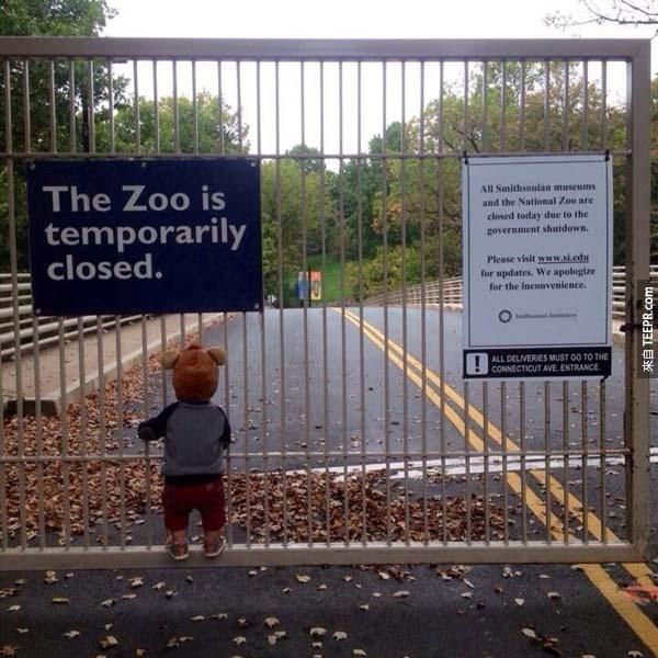 一个孤单小男孩难过得看着被政府暂时关闭的国家动物园。