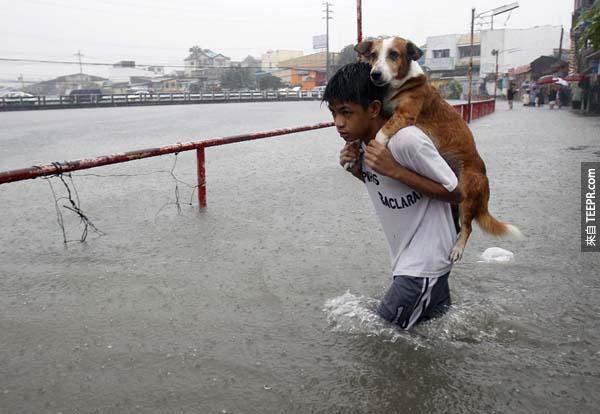 菲律賓馬尼拉（Manila）洪水時期，一位男孩背著他的愛犬在水災中涉水而行。