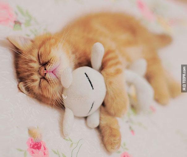 cute-animals-sleeping-stuffed-toys-4