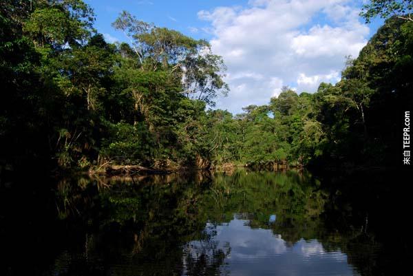 10.) 亞蘇尼國家公園，厄瓜多爾: 這個位於厄瓜多爾亞馬遜的公園是地球上生物最多樣性最豐富的地區之一。 它是超過4000種植物，170種哺乳動物和610種鳥類的棲息地。 另外也是Waorani族人的家。 在2013年的時候，厄瓜多爾政府開放了讓亞蘇尼成為一個經濟剝削區域。
