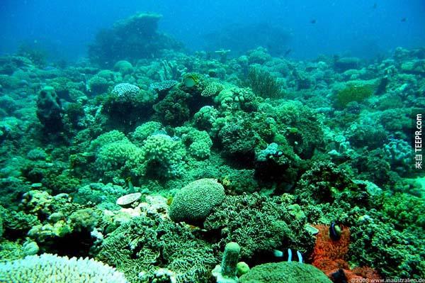 5.) 大堡礁，澳州 (Great Barrier Reef, Australia): 這個珊瑚礁沿著澳州昆士蘭州海岸 1200多英里。這個也是唯一從外太空可以看見的生命體。 自上世紀80年代，珊瑚礁已經慢慢地失去了超過了珊瑚的一半。在2013年，澳州政府批准了新的港口，所以這將導致300萬立方米的海底為了建設而挖出。