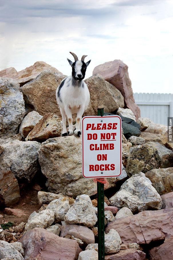  "請不要攀爬這些石頭"