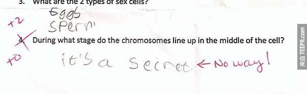 18.)  (染色體是在哪一個階段在一個細胞裡面排成一列？)。答案: 這是個祕密。