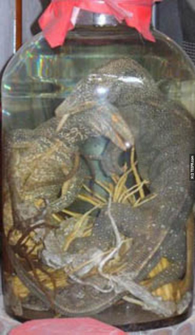 7) 三蜥蜴酒 - 這種當然是在亞洲才找得到囉。作法跟他的名字一樣，就是把三隻大蜥蜴放入酒桶裡面釀。據說喝此酒的人可以把這些蜥蜴的能量轉換到自身身上。