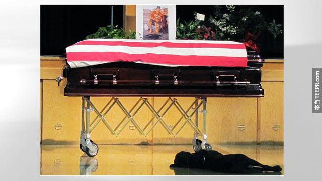 6. Hawkeye黑狗在海軍海豹部隊（Navy SEAL）喪禮上拒絕離開它的主人，由始至終的忠心讓人看了真心酸。