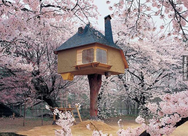 這是建築師藤森照信 (Terunobu Fujimori) 日本山梨縣北杜市的博物館蓋的。這棟樹屋的用處其實就是讓人可以在裡面輕鬆的享受周圍的櫻花。