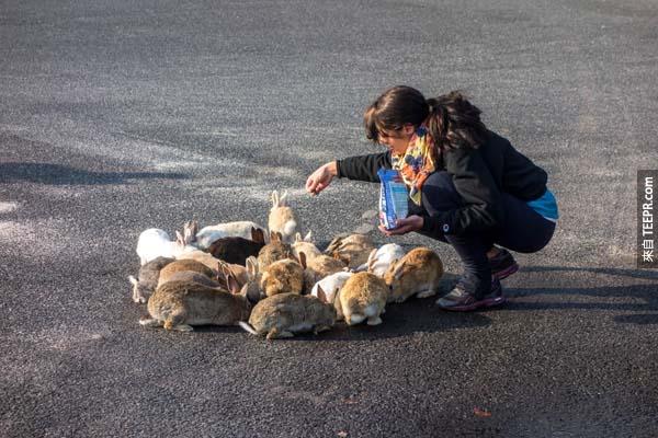 遊客可以直接在當地幫小兔子買點食物。