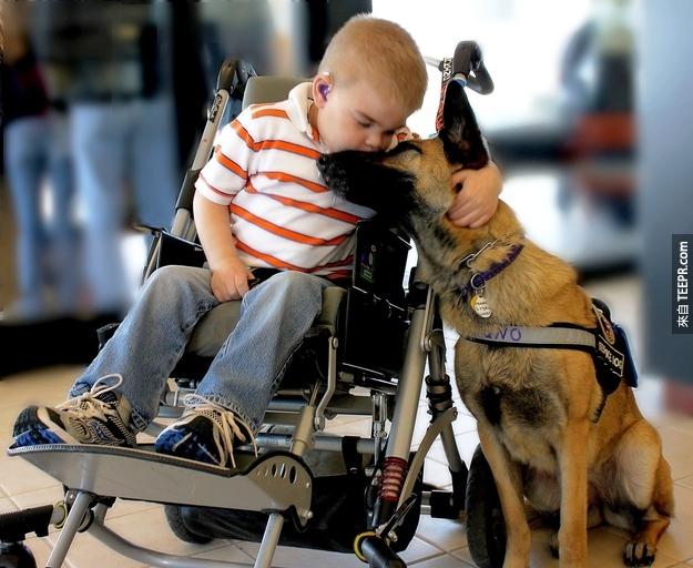 2. 已經失去說話、走路與照顧自己能力的殘障孩子Lucas Hembree與照顧他的愛犬Juno相互擁抱。