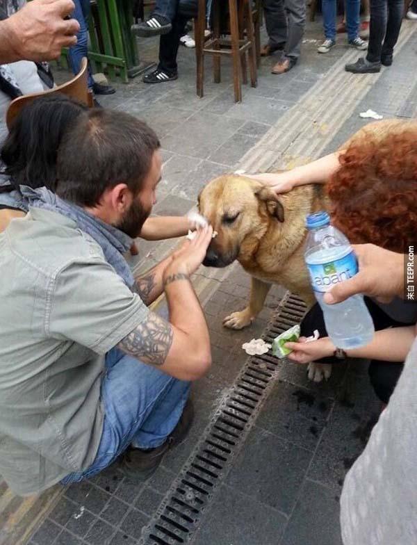 36.) 在抗议期间，狗儿的眼睛受到催泪瓦斯的袭击，大家都停下来帮他冲水治疗。(怎么样都不能让狗狗受到伤害！)