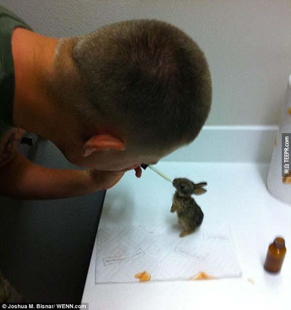 37.) 一位军人救了一只兔子，并决定领养他。他花了很多时间救活这只小可爱。
