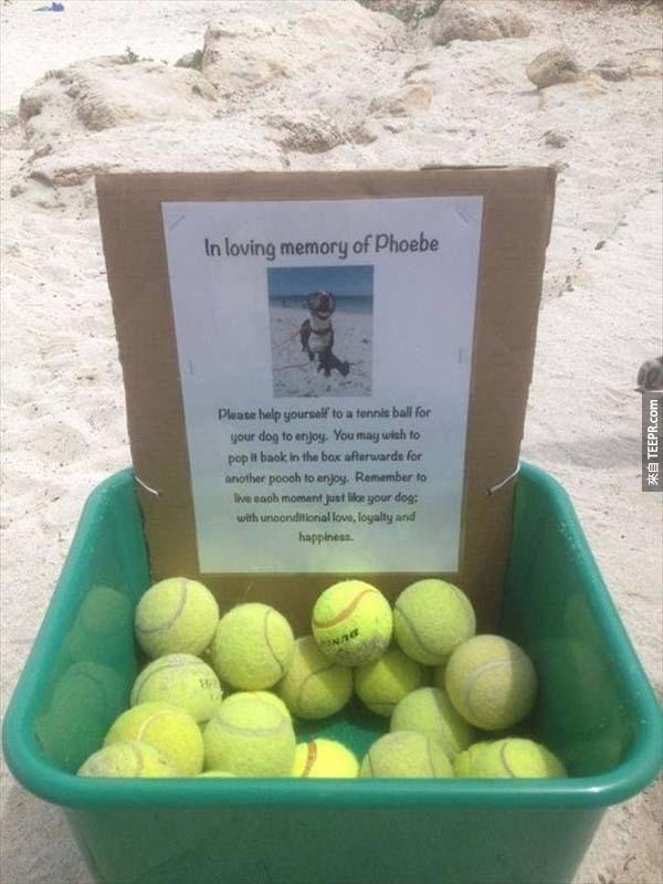 8.) 在各处的狗狗都会缅怀这样的善行。这一箱的网球都是为了纪念Phoebe而设置的，位的就是希望可以达到一个"狗狗有球玩"的情况。