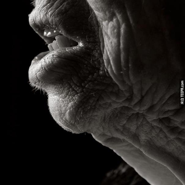 aged-human-body-100-years-old-centenarians-anastasia-pottinger-13