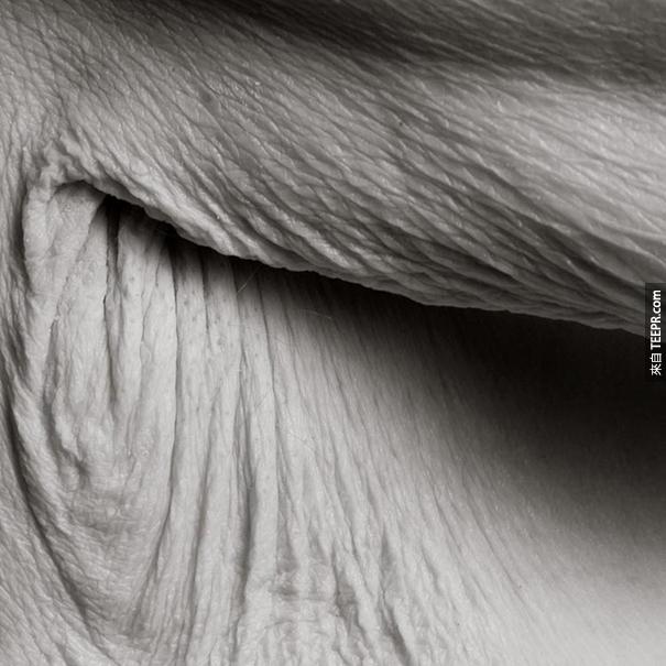 aged-human-body-100-years-old-centenarians-anastasia-pottinger-3