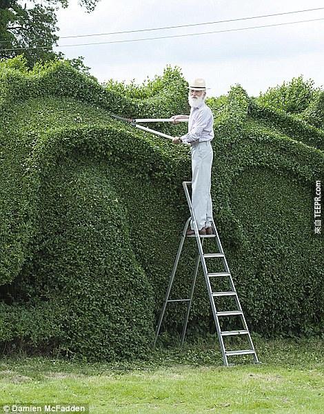 十年前他為了他的妻子開始了這個園藝項目。