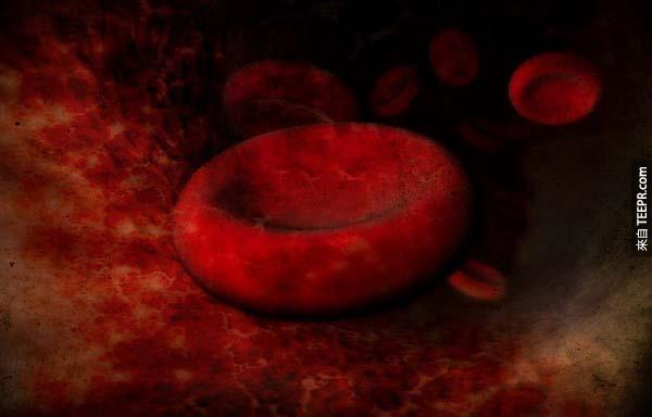2.) 每60秒，红血球会在你的体内整整绕行一周。
